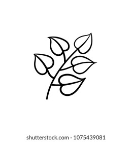 Linden leaves hand drawn vector outline doodle icon. Vector sketch illustration of linden branch with leaves for print, web, mobile and infographics isolated on white background.