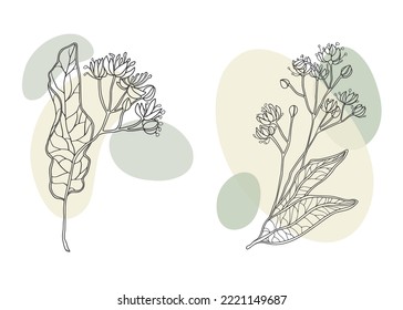 Hojas ligadas con formas amarillas sobre fondo blanco. Dibujo vectorial de las flores de contorno 