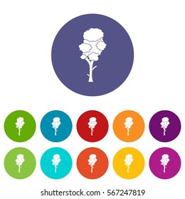 Linden set icons in different colors isolated on white background