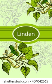 Linden. Tea design for package. 