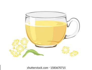 Linden tea. Hot medical drink with tilia flowers in a glass cup Isolated on a white background. Vector illustration in cartoon simple flat style.