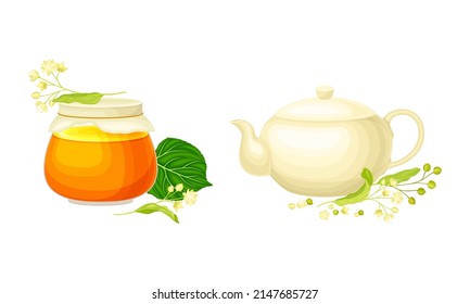 Linden or Tilia Cordata Honey in Jar and Brewing Tea in Teapot with Blossom Nearby Vector Set