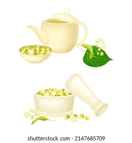 Linden or Tilia Cordata in Mortar and Brewing Tea in Teapot with Blossom Nearby Vector Set