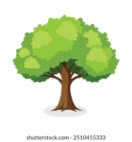 Linden Baum flache Vektorgrafik auf weißem Hintergrund
