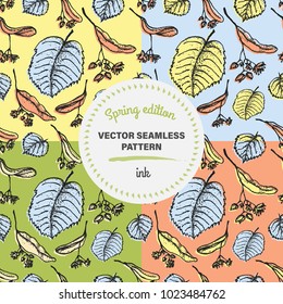 Linden tree  hand drawn seamless pattern set, vector illustration. Flowers and leaf sketch drawing. Spring color floral elements for design.