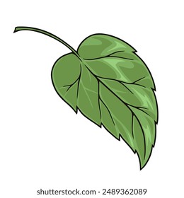 Linden tree leaf detailed sticker with green petal with wood for seed packaging design or gardening magazines vector illustration