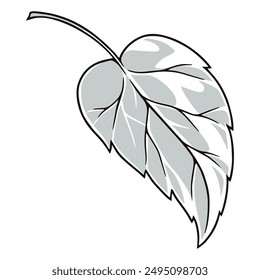 Linden tree petal detailed emblem monochrome with one leaf wood for design of textbooks about nature and flora vector illustration