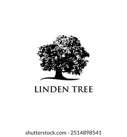 Linden tree vector silhouette grow leaves 