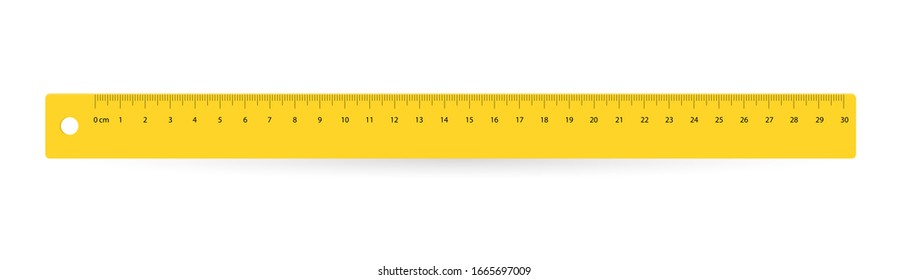 line of 30 centimeters. Vector school, plastic yellow isolated rulers with double side measuring inches and centimeters