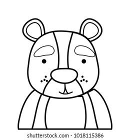 line adorable and surprised bear wild animal