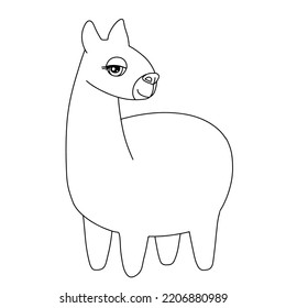 Line alpaca girl. Outline illustration isolated white. Funny llama animal for childish coloring book