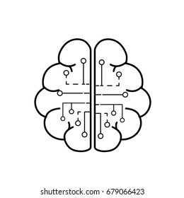 line anatomy brain with circuits digital connection