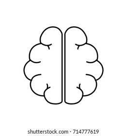 line anatomy brain to imagination and memory inspiration