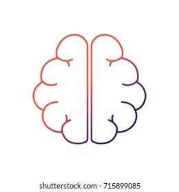 line anatomy brain to imagination and memory inspiration
