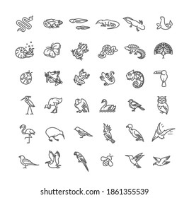 Line animals concepts, vector icons set