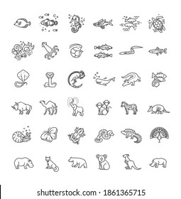 Line animals concepts, vector icons set
