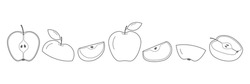 Line Apple Set. Sketch Sliced Apples Collection. Hand-drawn Slices, Whole And Half Linear Fruits. Vector Isolated On White.