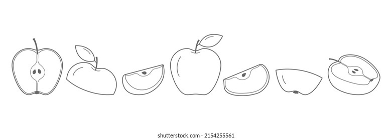 Line apple set  Sketch sliced apples collection  Hand  drawn slices  whole   half linear fruits  Vector isolated white 