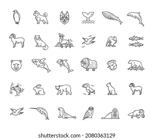 Line arctic wildlife concept with different north animals . Vector