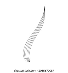 Line art abstract long leaf. Helical palm leaf or waterfall. Decoration element for greeting poster, banner, card. Vector illustration.