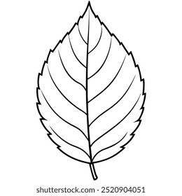 line art alder leaf vector art illustration on white background