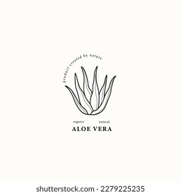 Ilustración de la planta de Line art aloe vera