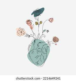 Line Art Anatomical Heart Silhouette. Healthy Medicine Concept Design One Sketch Outline Drawing Vector Illustration.