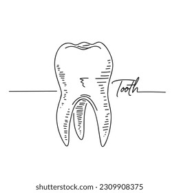 Line art anatomical human tooth silhouette. World Dentist Day. Dentist's Day. Tooth sketch outline drawing vector illustration
