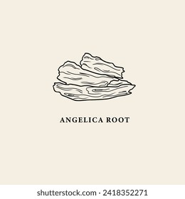 Line art angelica root illustration