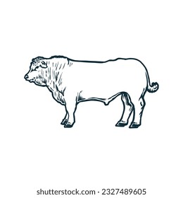 line art animal cattle ( cow )