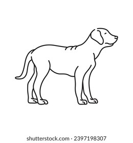 Line Art Animals Vector Collection 4