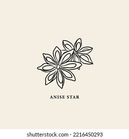 Line art anise star illustration