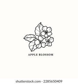 Line art apple blossom illustration