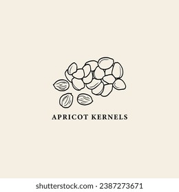 Line art apricot kernels illustration