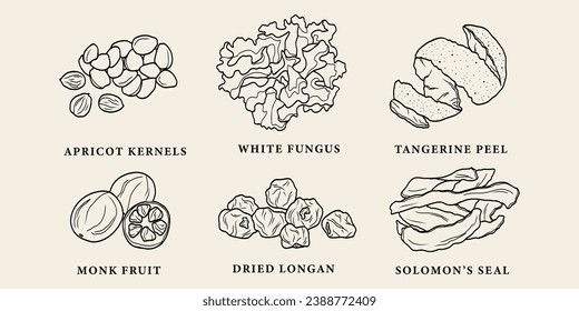 Line art apricot kernels, white fungus, tangerine peel, monk fruit,  longan, Solomon's seal