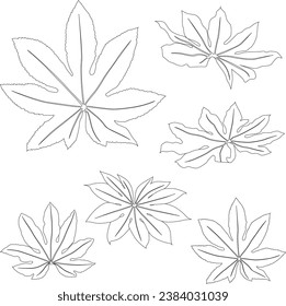 Line art aralia leaves tropical plants isolated on white background