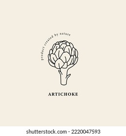 Line art artichoke plant illustration