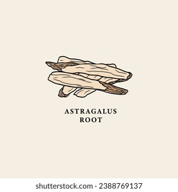 Line art astragalus root drawing