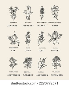 Line art Australian birth month flowers svg