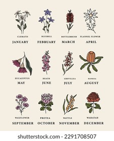 Line art Australian birth month flowers set svg