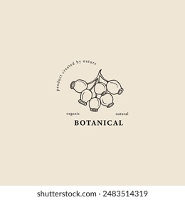 Logo de eucalipto australiano