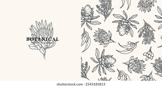 Fondo de flores australianas de arte lineal. Logotipo de la flor de Protea