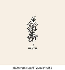 Line art Australian heath illustration