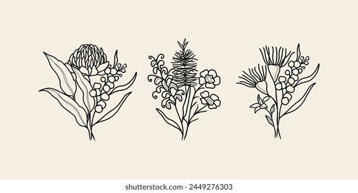 Line art Australian native flower arrangements