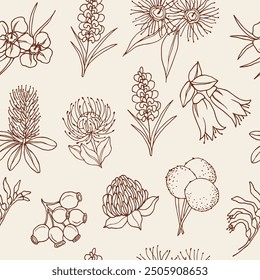 Line art Australian native flowers background