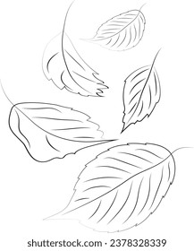 Line art. Autumn leaves. High quality vector illustration.