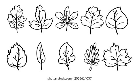 Line art autumn leaves set, isolated on a white background. simple cartoon, vector illustration.