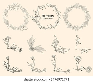 Arte de la línea coronas de otoño y esquinas florales, dibujo de arte de la línea, Ilustración vectorial botánica, floral border set