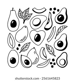 Line art of avocado doodle. Hand drawn whole and halves avocado, leaves, seed fruit illustration