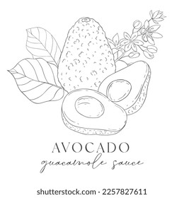 Line Art Avocado Label. Elements of Fruits and Flowers. Vector Illustration on white Background.